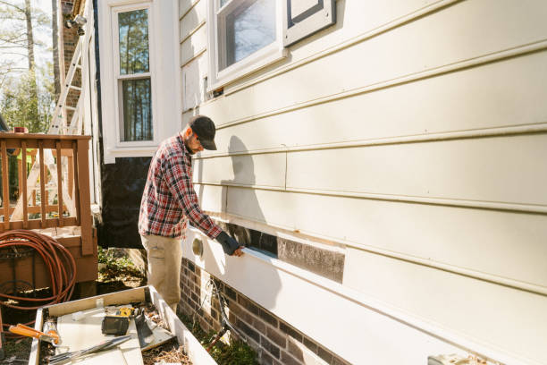 Top rated local Siding Replacement specialists in Princeton, KY
